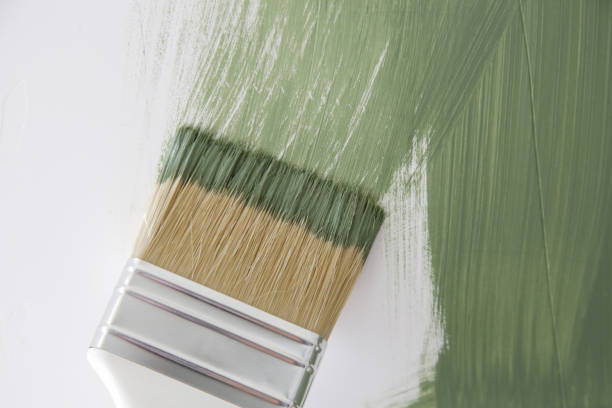 Best Forensic Mold Investigation  in Park Hills, KY