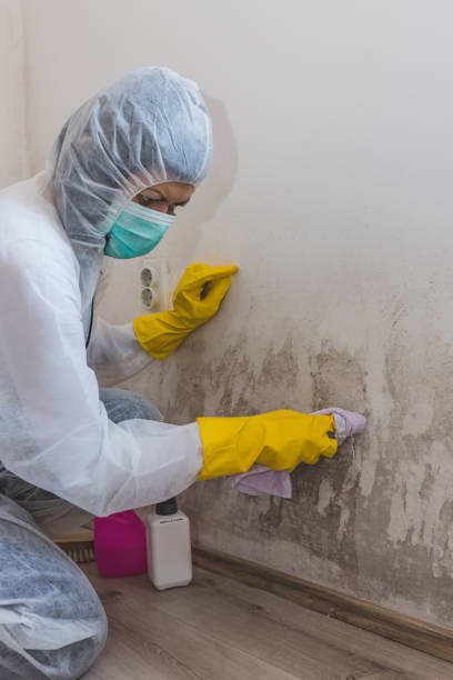 Best Water Damage & Mold Remediation  in Park Hills, KY