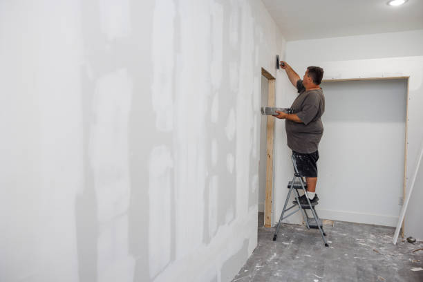 Best Mold Removal for HVAC Installations  in Park Hills, KY