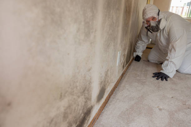 Mold Remediation for Rental Properties in Park Hills, KY